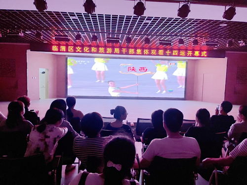 临渭区文化和旅游局 观十四运盛会开幕 展文旅融合新风采